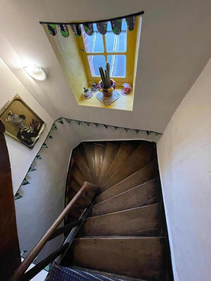 Maison Spacieuse Authentique Proche St Malo Rennes, Bienvenue A La Casa Cozumel 普勒格讷克 外观 照片